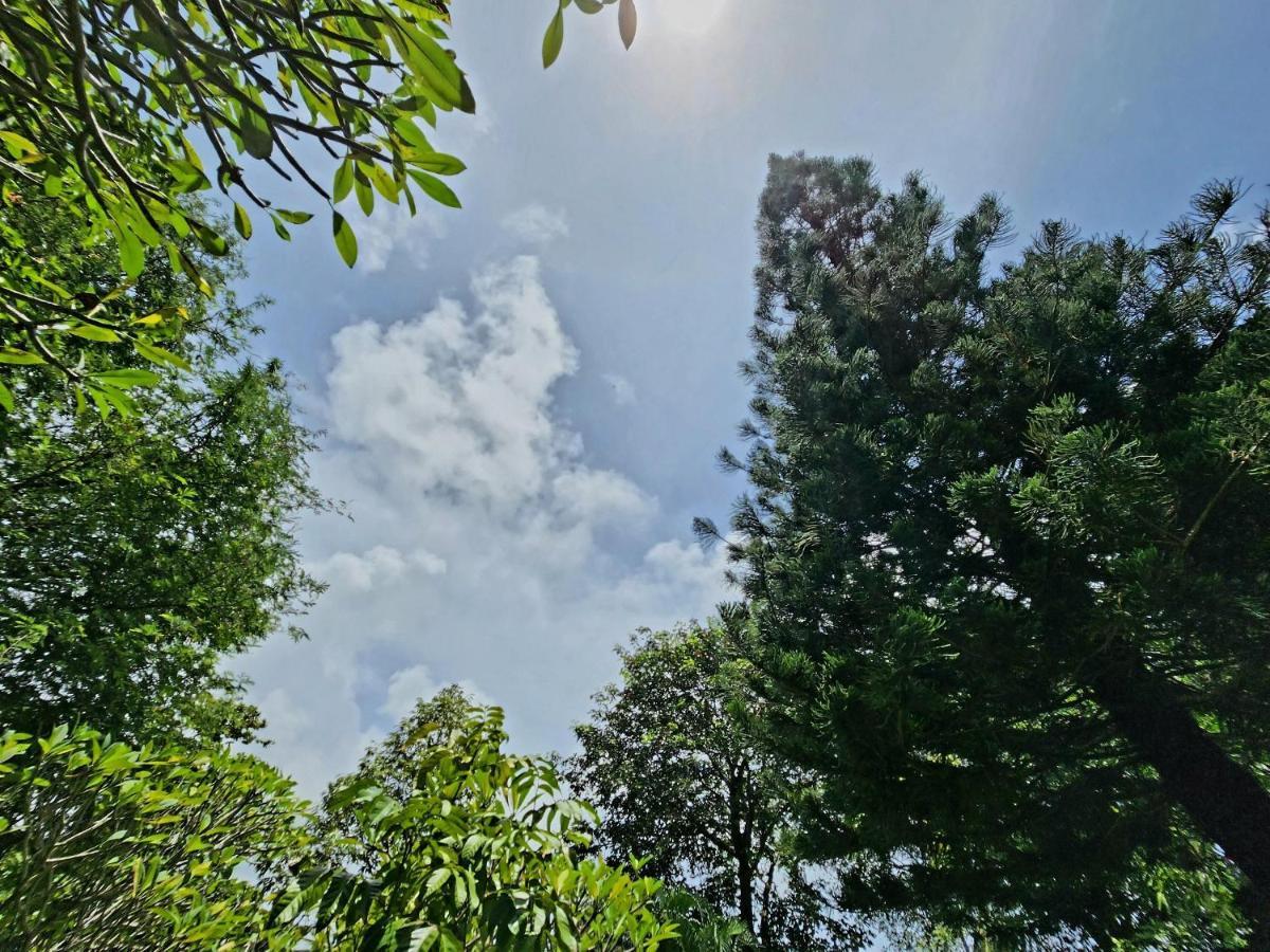 Garden Sha Extra सहारा